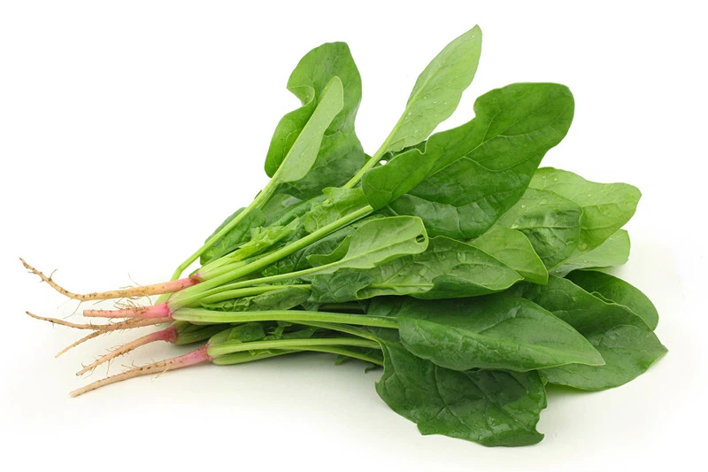 product-800-533 product-800-533